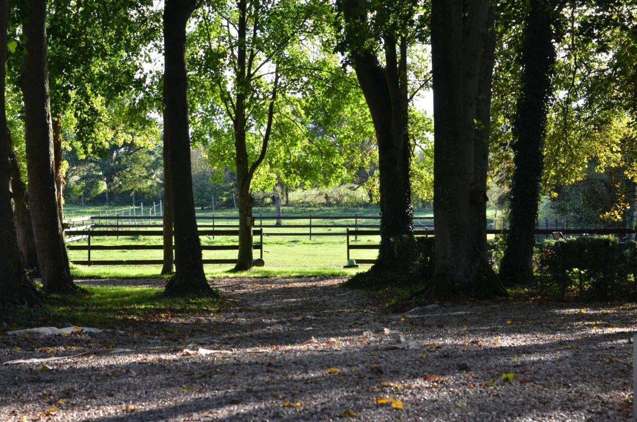 B&B La Tour Blanche Forest-Montiers Buitenkant foto